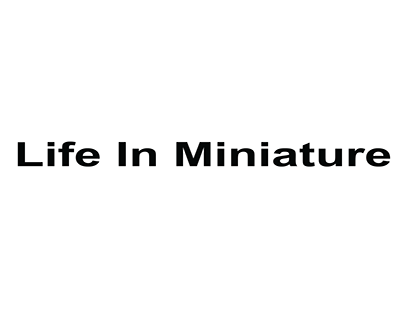 Life In Miniature