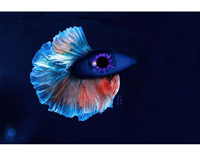 Art, digital art, fish, eyes