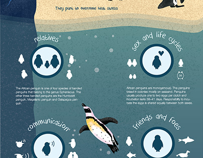 Penguin infographic