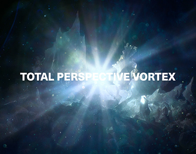 Total Perspective Vortex