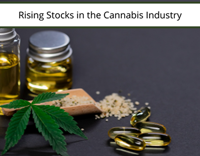Rising Stock in the Cannabis Industry