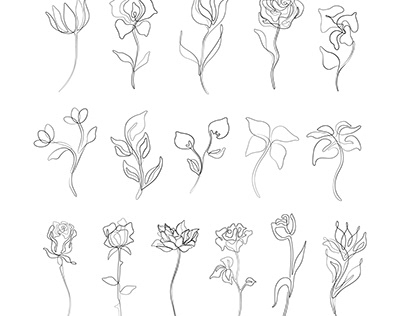 Flowers set, abstract print continuous line drawing