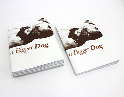 There's Always a Bigger Dog - Degree Show Branding