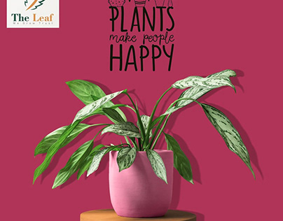 The Leaf Plant Post Design