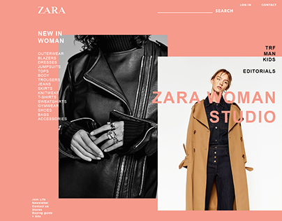 ZARA I Color Redesign Concept