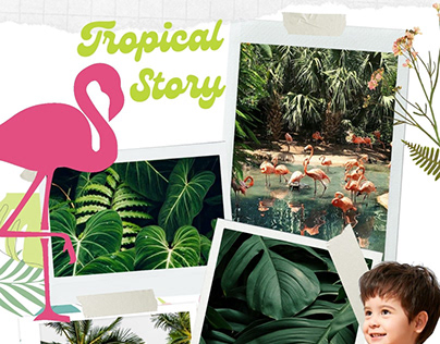 TROPICAL STORY