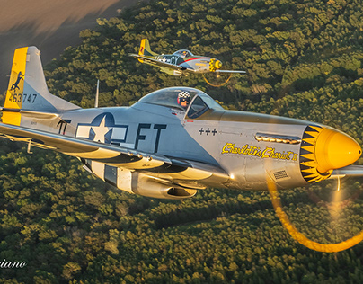 P-51s at the NATA TVR formation clinic