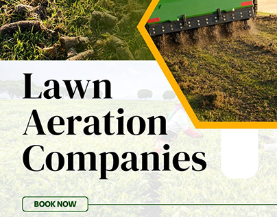 Lawn Aeration Company Troutman - Lawn Pro