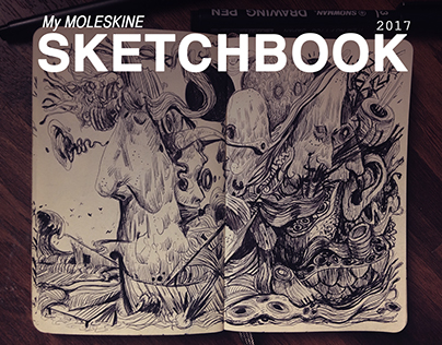 My Moleskine SketchBook 2017
