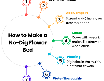 How to Make A No Dig Flower Bed?