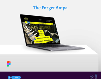 The Forget Ampa