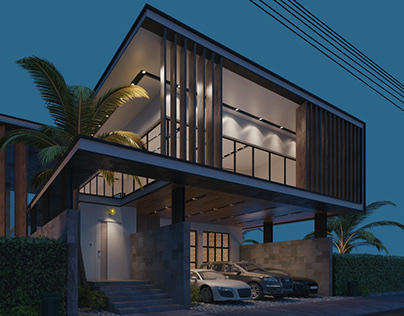 THE HOUSE (exterior design)