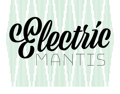Artist - Electric Mantis