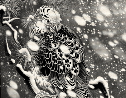 Falcon in winter
