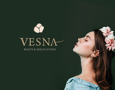BITSA Vesna Logo