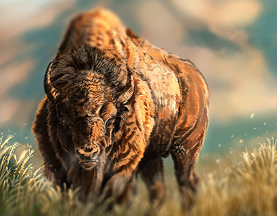 Bison - The Grassland Beast
