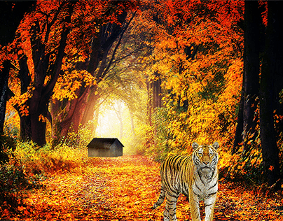 Tigre automne
