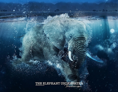The Elephant Underwater - Photo Manipulation