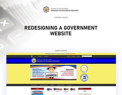 Redesigning a Government Website