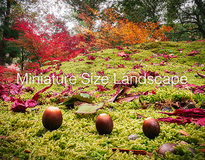 Miniature Size Landscape -season6-