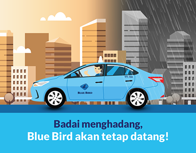 Blue Bird Facebook Ads