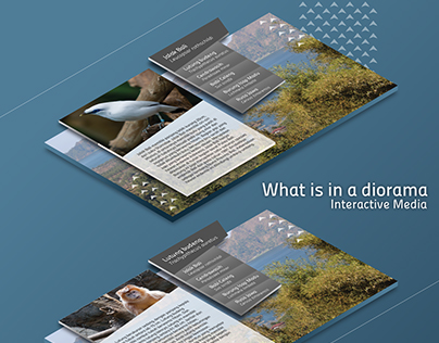 What is in a diorama - Interactive Media