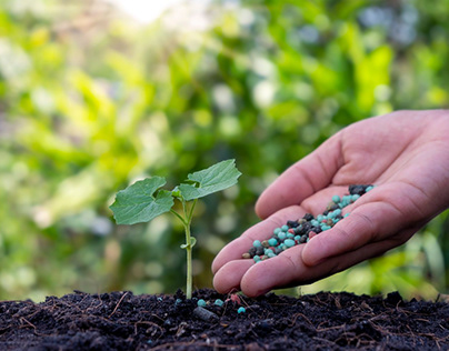 Benefits of Organic Manure and organic fertilizer