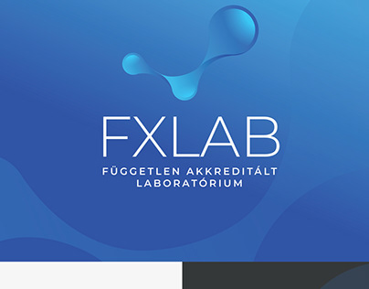 FXLab Brand Identity