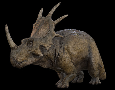 Styracosaurus | Styraco Dinosaur | Ngchipv