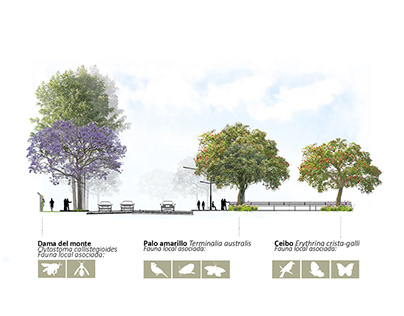 Landscape project for the Readjustment of Baradero Str.