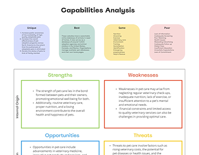 Competitive Analysis & SWOT