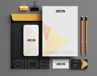 BIDS, Concept Logo