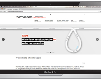Thermocable Website Banners
