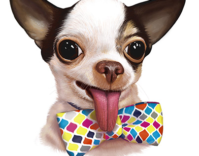 Chihuahua with a bow tie