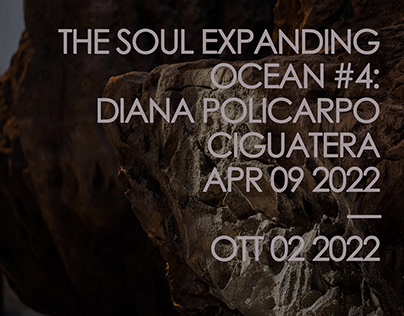 THE SOUL EXPANDING OCEAN #4: DIANA POLICARPO
