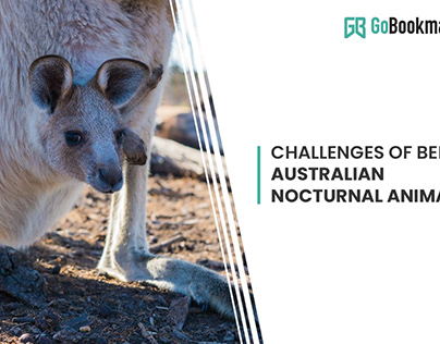Challenges of Being Australian Nocturnal Animals
