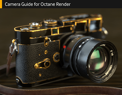 Camera Guide for Octane Render