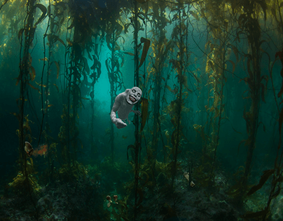 Kelp Forest Creature