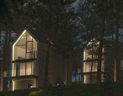 Modern Houses 3d Visualizations