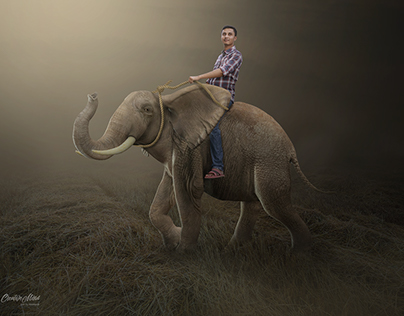 Elephant Ride | Photoshop Manipulation Tutorials