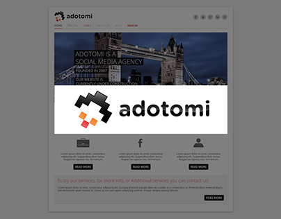 Adotomi web design project 2013