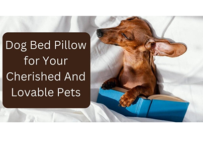 Dog Bed Pillow for Your Cherished And Lovable Pets