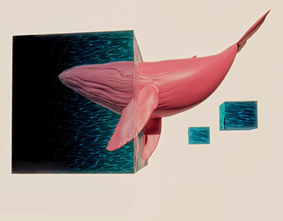Half submerged whale in geometric-Espacios Imaginados