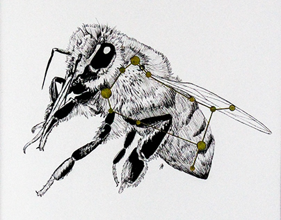 Gemini Bee