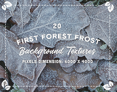 20 First Forest Frost Backgrounds ~ DOWNLOAD