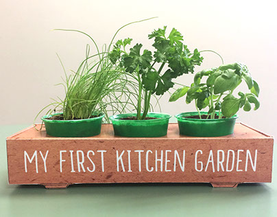 Little Grower's Herb Garden Kit