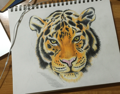 Tiger drawing in process