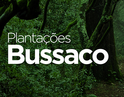 Plantações Bussaco
