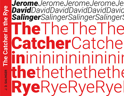 J. D. Salinger "The Catcher in the Ray"