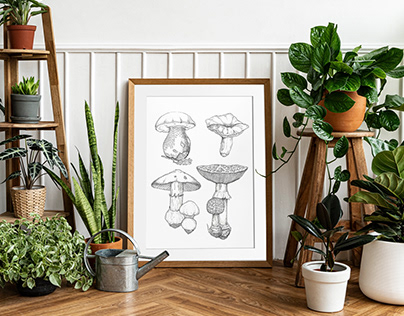 Botanical Illustration Drawing | Mushrooms